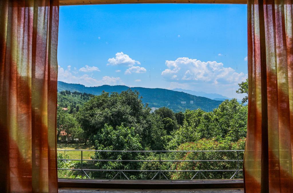 Hotel Elatofilito Athamanio Zewnętrze zdjęcie