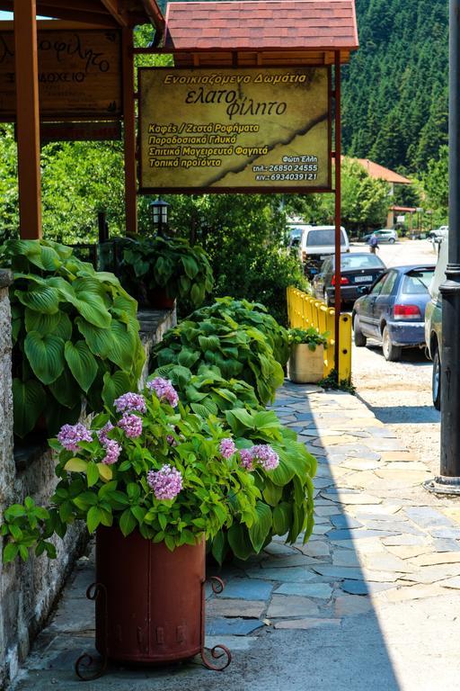 Hotel Elatofilito Athamanio Zewnętrze zdjęcie
