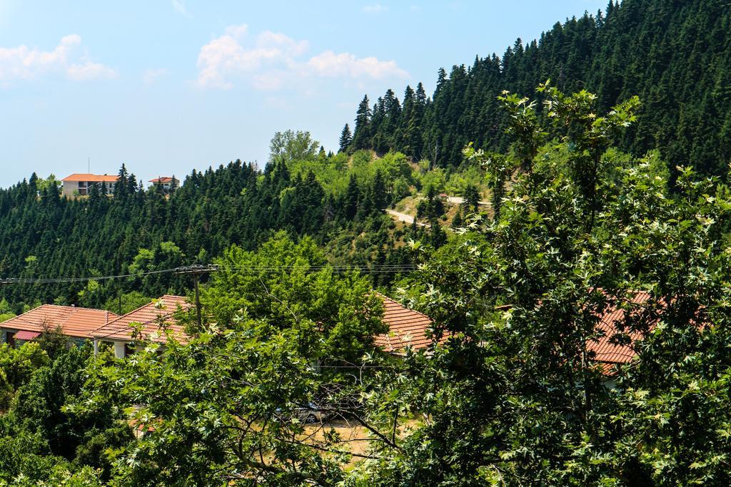 Hotel Elatofilito Athamanio Zewnętrze zdjęcie